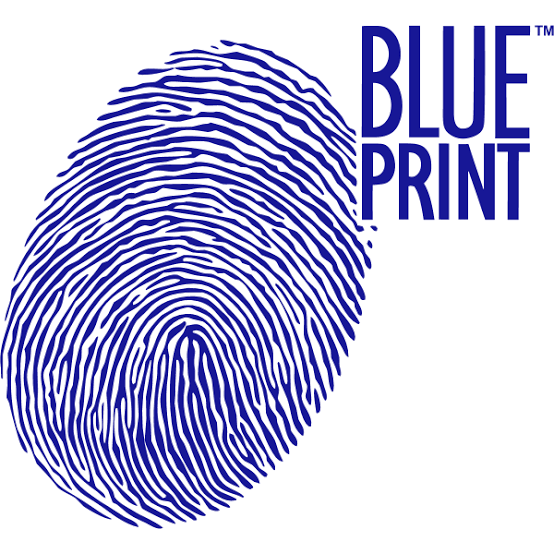 Blue Print Markasının Tarihçesi ve Küresel Konumu