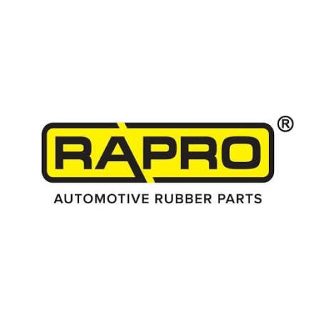RAPRO Marka Kimliği ve Otomotiv Sektöründeki Yeri