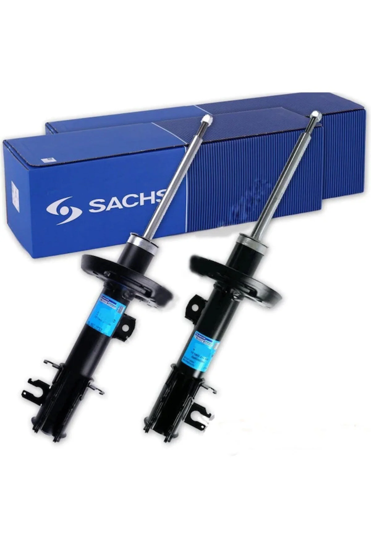 Sachs Hakkında: Tarihçe ve Küresel Konum